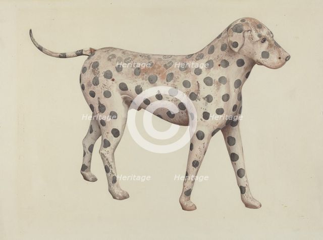 Dalmatian, 1935/1942. Creator: Betty Fuerst.