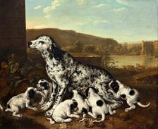 Dalmatian dog with puppies, c1700-17120. Creator: Pieter van der Hulst