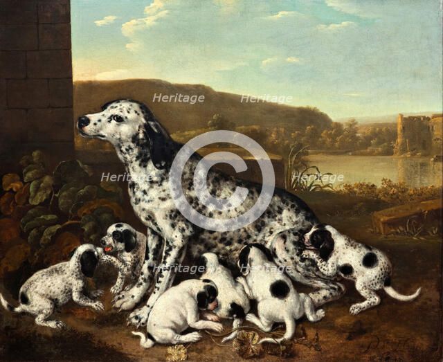 Dalmatian dog with puppies, c1700-17120. Creator: Pieter van der Hulst.