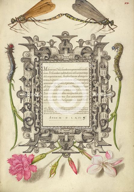 Damselflies, Caterpillars, Carnation, and Poet's Jasmine, 1561-1562; illumination added 1591-1596. Creator: Joris Hoefnagel.