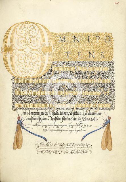 Damselflies; Mira calligraphiae monumenta, 1561-1562; illumination added 1591-1596. Creator: Joris Hoefnagel.