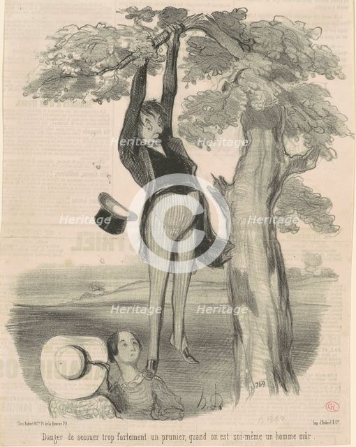 Danger de secouer trop fortement ... Un prunier, 19th century. Creator: Honore Daumier.