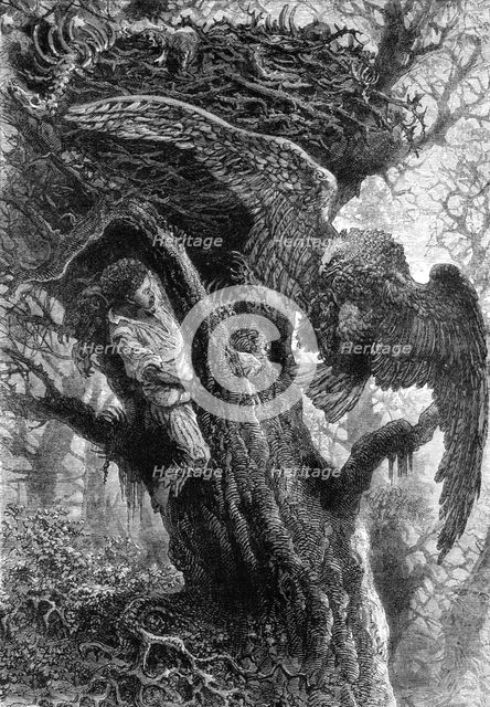 'Dangerous Bird Nesting; A Flying Visit to Florida', 1875. Creator: Thomas Mayne Reid.