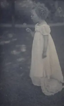 Dandelions, c1900. Creator: Ema Spencer
