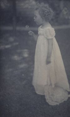 Dandelions, c1900. Creator: Ema Spencer