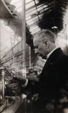 Daniel Berthelot. Creator: Unknown