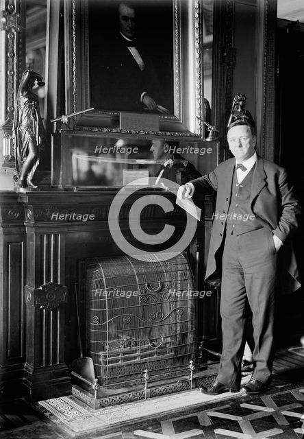 Daniels, Josephus, Secretary of The Navy, 1913-1921, 1913. Creator: Harris & Ewing.