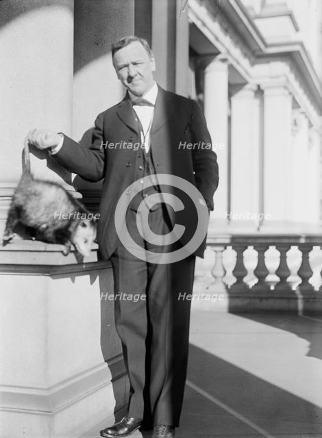 Daniels, Josephus, Secretary of The Navy, 1913-1921. with An Opossum, 1913. Creator: Harris & Ewing.