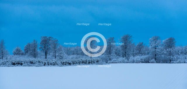 Danish Winter Morning. Creator: Dorte Verner.