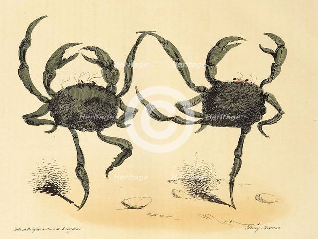 Danse Fantastique from La Caricature, pub. 1831 (lithograph), 1831. Creator: Henry Monnier (1799 - 1877).