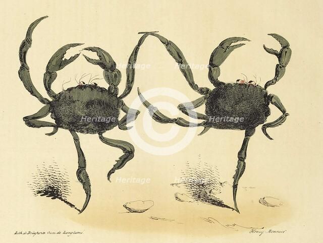 Danse Fantastique from La Caricature, pub. 1831 (lithograph), 1831. Creator: Henry Monnier (1799 - 1877).