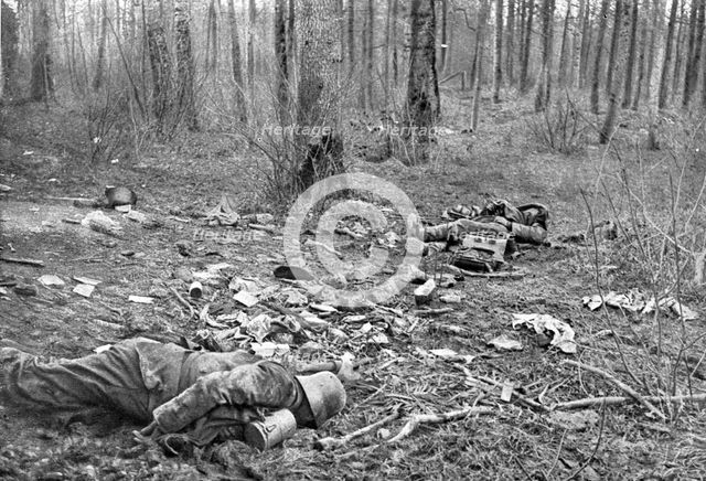 'Dans la Bataille; Une clairiere du parc du Plessis-de-Roye, apres le combat du 30 mars 1918', 1918. Creator: Unknown.