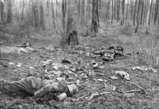 Dans la Bataille; Une clairiere du parc du Plessis-de-Roye, apres le combat du 30 mars 1918 1918. Creator: Unknown