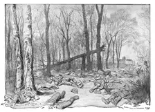 Dans la Bataille; cadavres de soldats allemands de la 1st division de la Garde, dans le..., 1918. Creator: Georges Bertin Scott