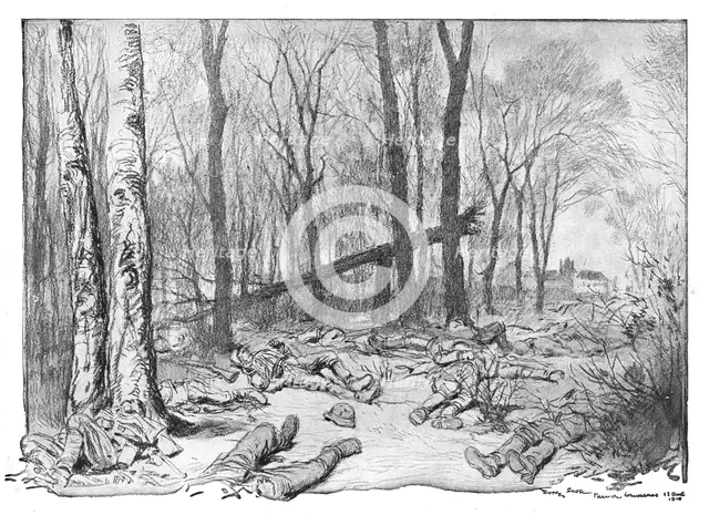 'Dans la Bataille; cadavres de soldats allemands de la 1st division de la Garde, dans le..., 1918. Creator: Georges Bertin Scott.