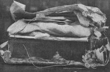 Dans le jardin d'une legation allemande. Explosifs et cultures de microbes; la caissette..., 1916. Creator: Unknown