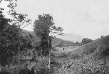 'Dans les montagnes de l'Usambara; Afrique Australe 1914. Creator: Unknown