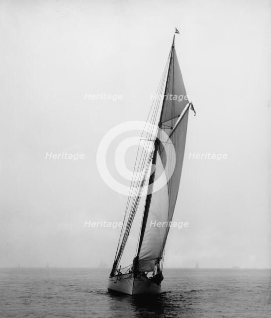 Daphne, 1893. Creator: John S Johnston.