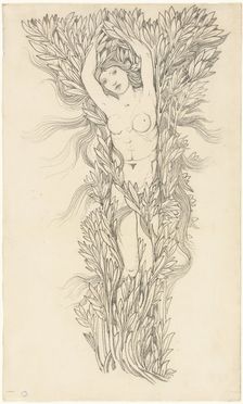 Daphne, n.d. Creator: Sir Edward Coley Burne-Jones