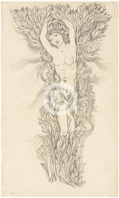 Daphne, n.d. Creator: Sir Edward Coley Burne-Jones.