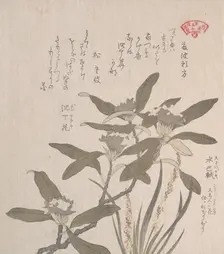 Daphne odora and Mojisuri-so, 19th century. Creator: Kubo Shunman