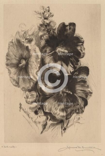 Dark Single Hollyhocks, 1890. Creator: James David Smillie.