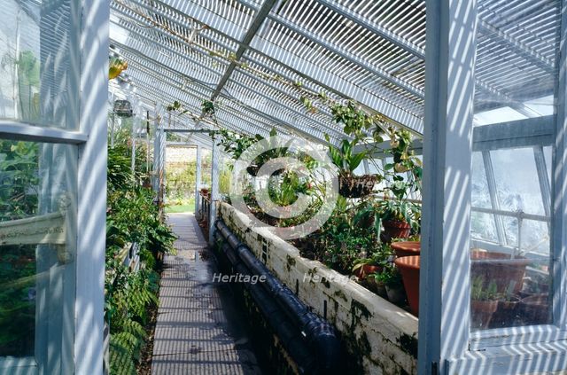 Darwin's greenhouse, Down House, Downe, London, c2000s(?).  Artist: Historic England Staff Photographer.