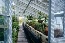Darwin's greenhouse, Down House, Downe, London, c2000s(?). Artist: Historic England Staff Photographer