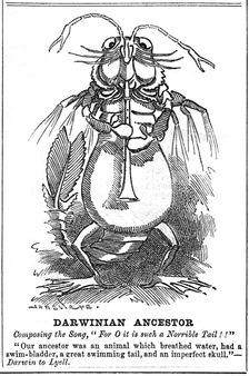 Darwinian Ancestor 1887. Creator: George du Maurier