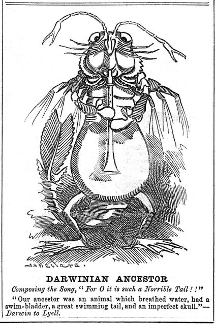 'Darwinian Ancestor', 1887. Creator: George du Maurier.