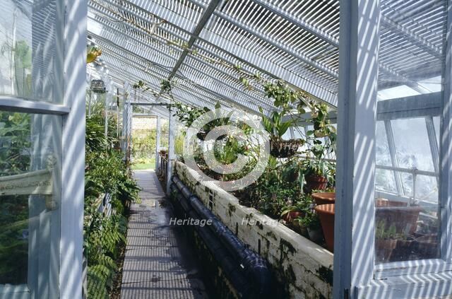 Darwin's greenhouse, Down House, Downe, London, c2000s(?).  Artist: Historic England Staff Photographer.