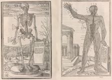 De dissectione partium corporis humani libri tres, 1545. Creators: Jean Jollat, Estienne de la Rivière
