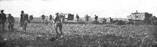 De la Picardie au Chemin des Dames; L'attaque franco-americaine du sailant de Cantigny..., 1918. Creator: Unknown