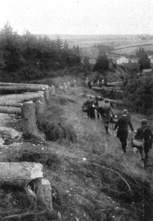 De magnifigues arbres ombrageaient les grandes routes menant a Liege 1914 Creator: Unknown