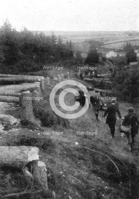 'De magnifigues arbres ombrageaient les grandes routes menant a Liege', 1914 Creator: Unknown.