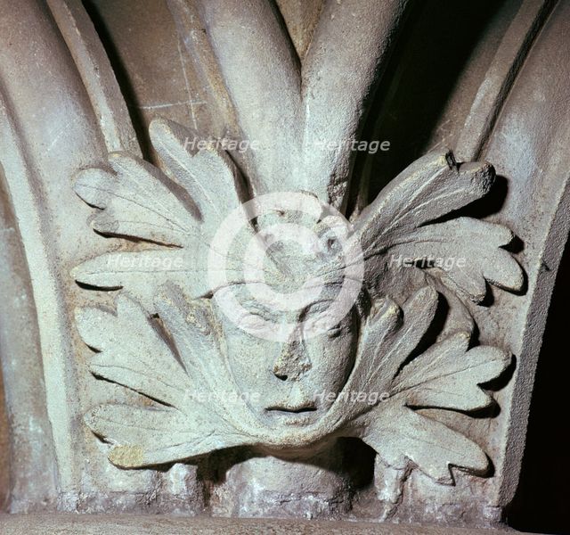 Detail of a Green Man at Southwell Minster in Nottinghamshire, 12th century. Artist: Unknown