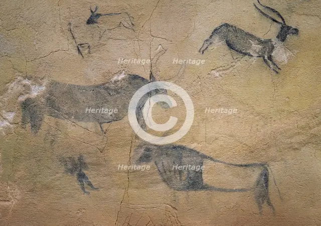 Detail of a large bovine scene, Caves of El Cogul, Lleida, Catalonia, Spain, 1997. Creator: Unknown.