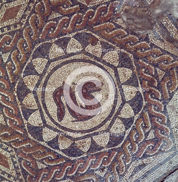 Detail of a mosaic depicting a snake in the Roman house of the Merida Amphitheater.