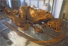 Detail of a mummy