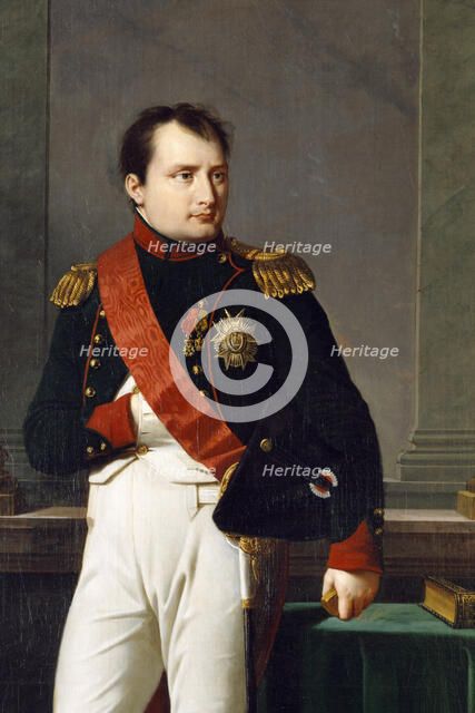 Detail of a portrait of Napoleon Bonaparte, 1812. Artist: Robert Lefevre.