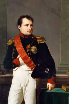 Detail of a portrait of Napoleon Bonaparte, 1812. Artist: Robert Lefevre