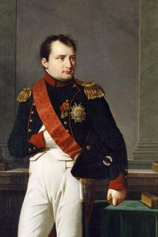 Detail of a portrait of Napoleon Bonaparte, 1812. Artist: Robert Lefevre
