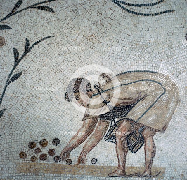 Detail of a Roman mosaic showing fruit-gathering, 2nd century. Artist: Unknown
