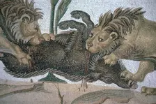 Detail of a Roman mosaic showing lions killing a boar, 2nd century