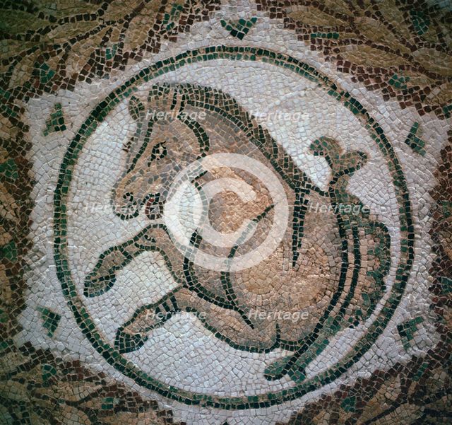 Detail of a Roman mosaic showing the head of a horse, 4th century. Artist: Unknown