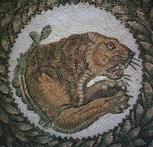 Detail of a Roman mosaic showing the head of a lion, 4th century