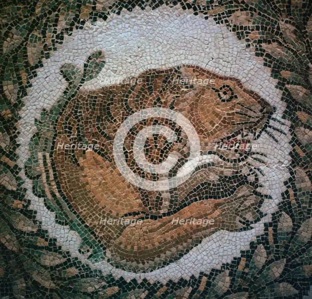 Detail of a Roman mosaic showing the head of a lion, 4th century. Artist: Unknown
