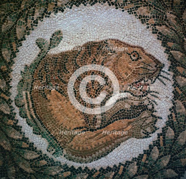 Detail of a Roman mosaic showing the head of a lion, 4th century. Artist: Unknown