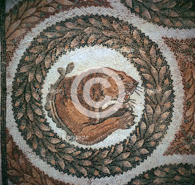 Detail of a Roman mosaic showing the head of a lion, 4th century. Artist: Unknown