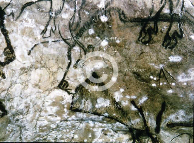 Detail of a wounded bison, part of an overlapping of figures, it has been painted tracing his pro…